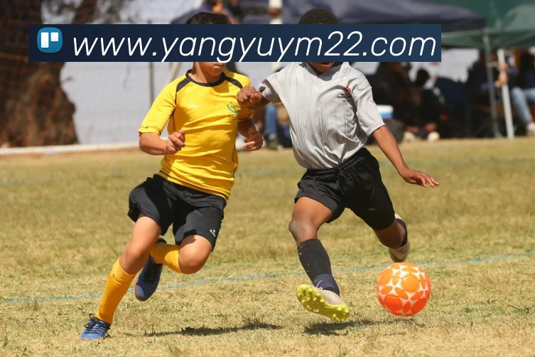 球友会平台生态图